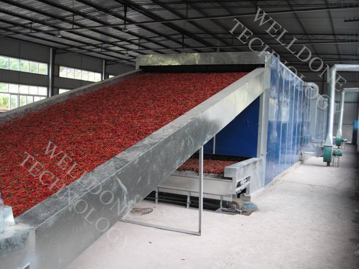 110 / 220V Continuous Conveyor Belt Dryer With Hot Air Drying System