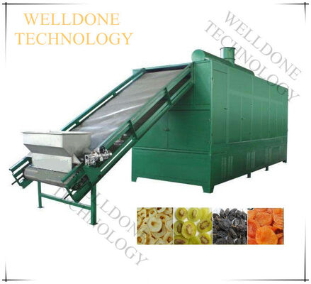 DWF Candied Fruit / Preserved Fruit / Confect Belt Dryer (Special Design)